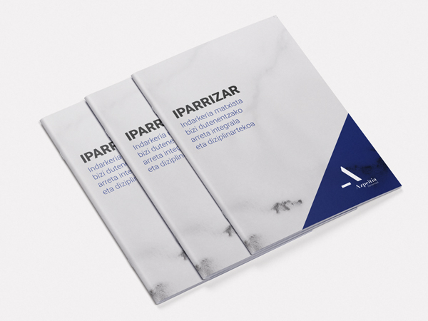 Azpeitiko Udala - Txostena